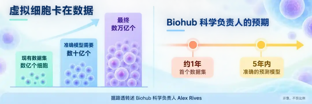 虚拟细胞的数据缺口:现有数据集数亿个细胞,准确模型需要数十亿个,最终数万亿个;约1年出首个数据集、5年内出预测模型,据路透转述 Alex Rives(示意,不按比例)